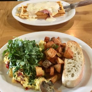 eggs