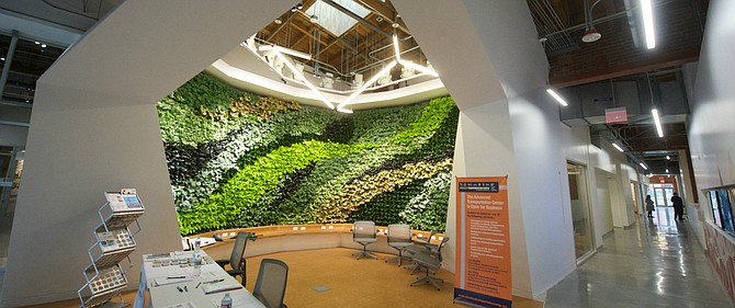 Water Tech Companies Are Springing Up in LA